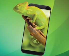 新半岛官网_半岛(中国)